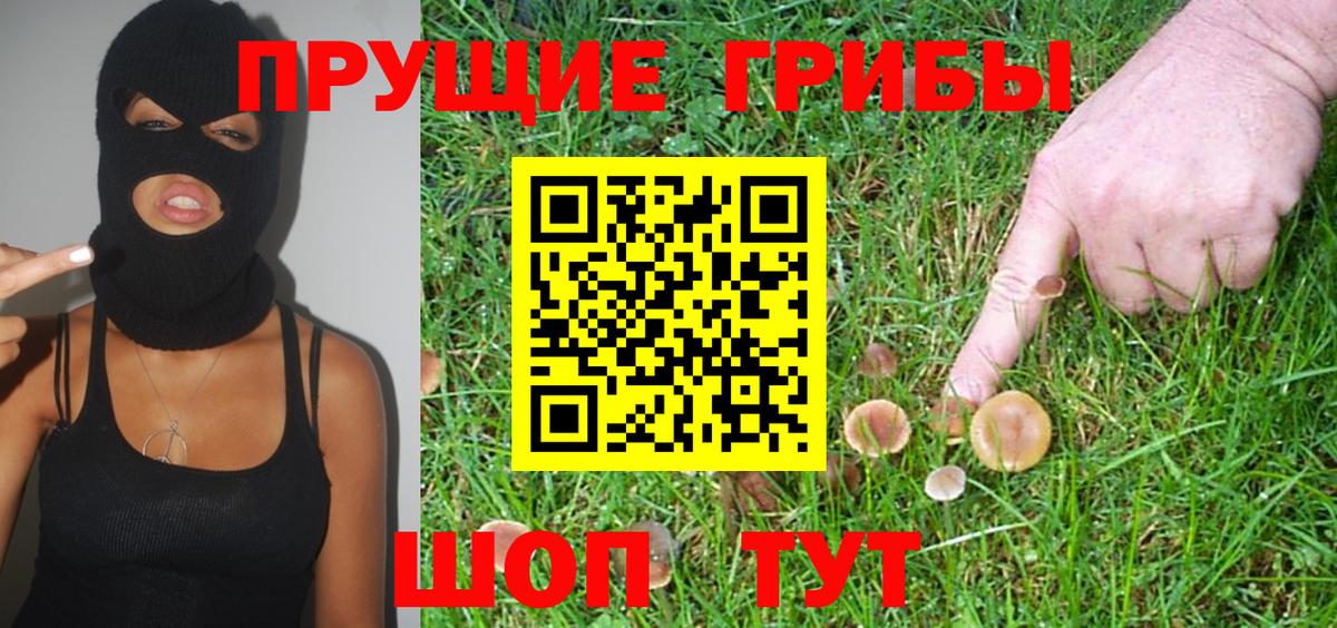 Галлюциногенные грибы GOLDEN TEACHER Конаково